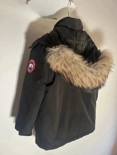 Canada goose arctic - canada,